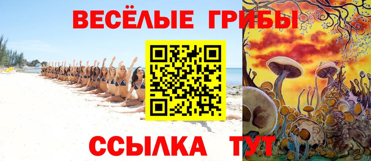 Псилоцибиновые грибы мицелий Жигулёвск